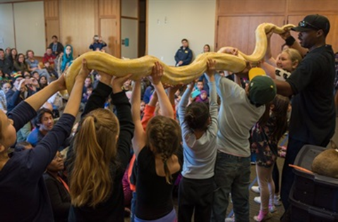 A line of children hold a long boa constrictor above their heads during a program featuring live animals at the Main Library.