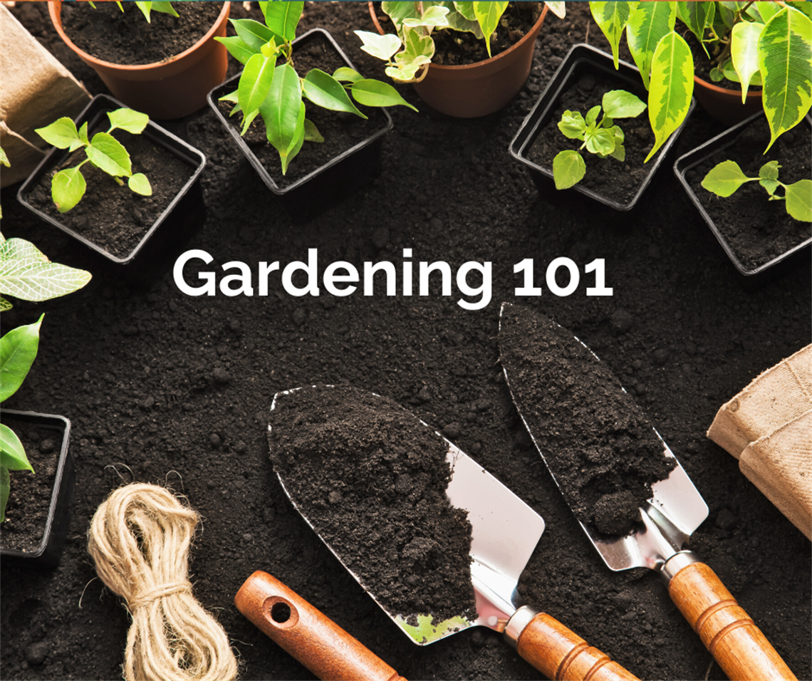 Gardening 101.png