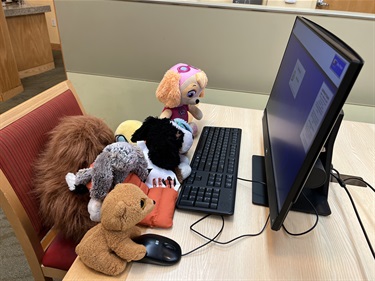 Stuffies at the computer.jpg