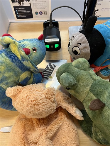 Stuffies checking out books.jpg