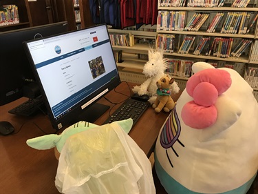 Stuffies play on the computer 2.jpg