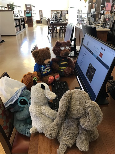 Stuffies play on the computer 5.jpg