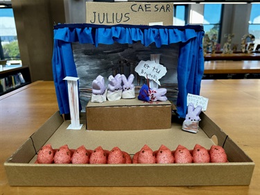 Julius Caesar by Vigo Mom