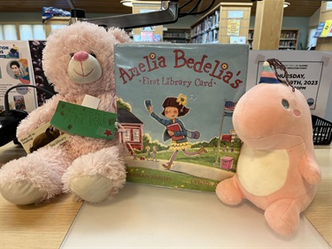Checking Out Books