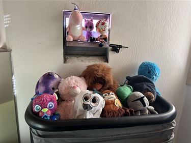 Playing in the Book Return Bin