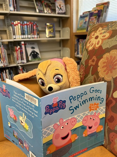 Reading