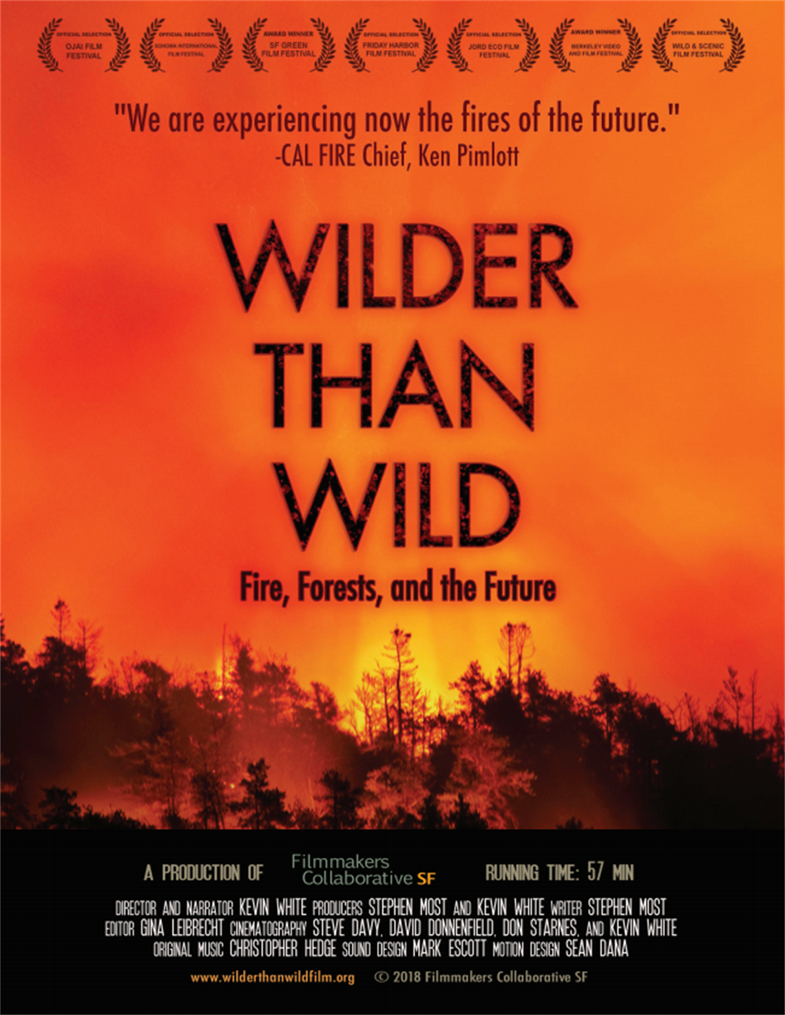 Wilder than wild Image.PNG